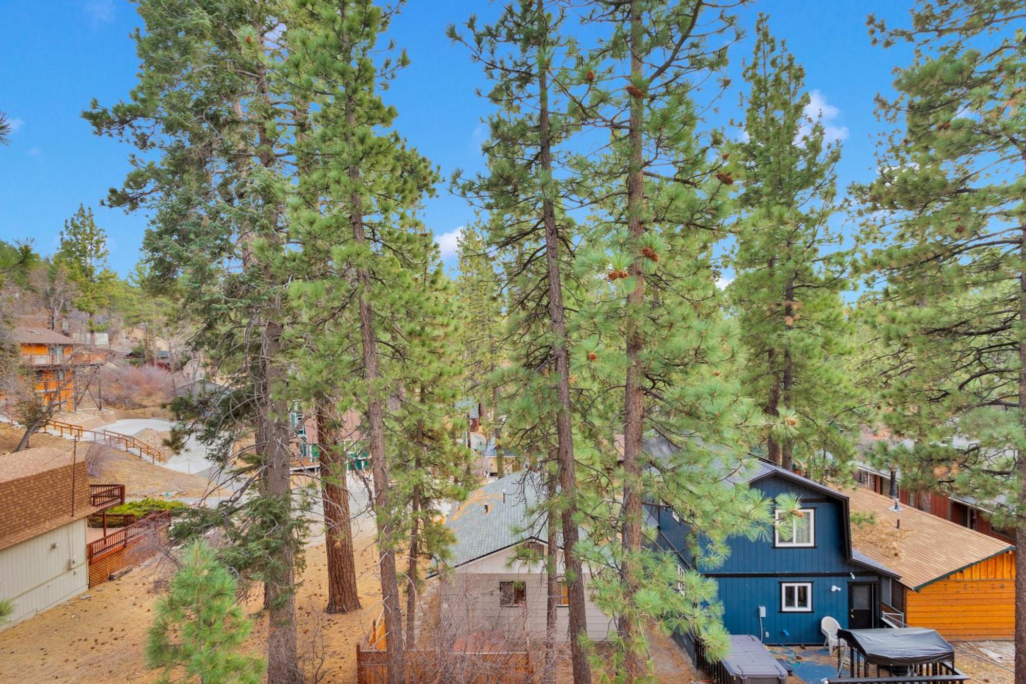 Cozy Crescent Tree Cabin Near Bear Mountain Big Bear Lake Exterior foto